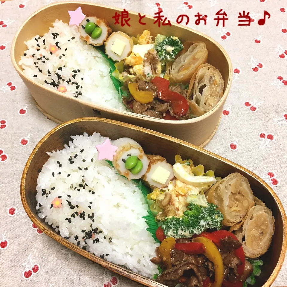 今日のお弁当|なめ子さん