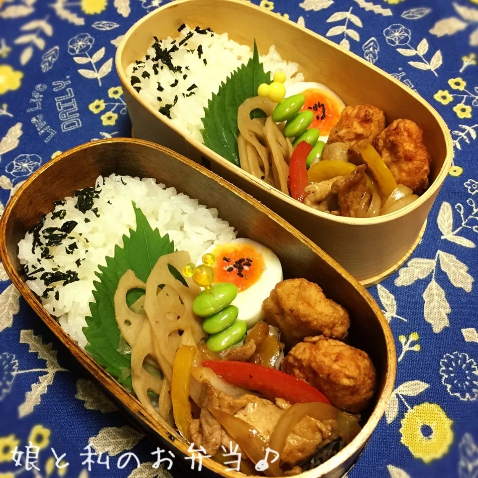 Snapdishの料理写真:今日のお弁当|なめ子さん