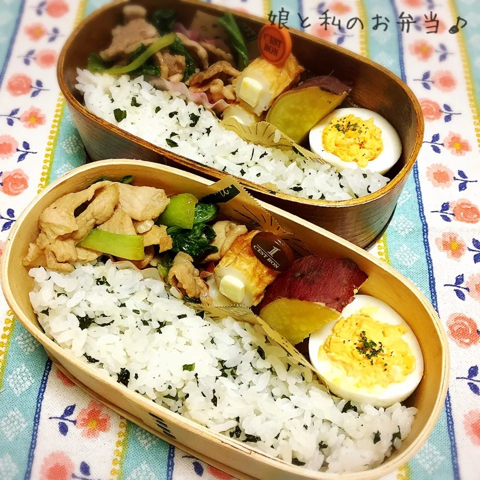 Snapdishの料理写真:今日のお弁当|なめ子さん