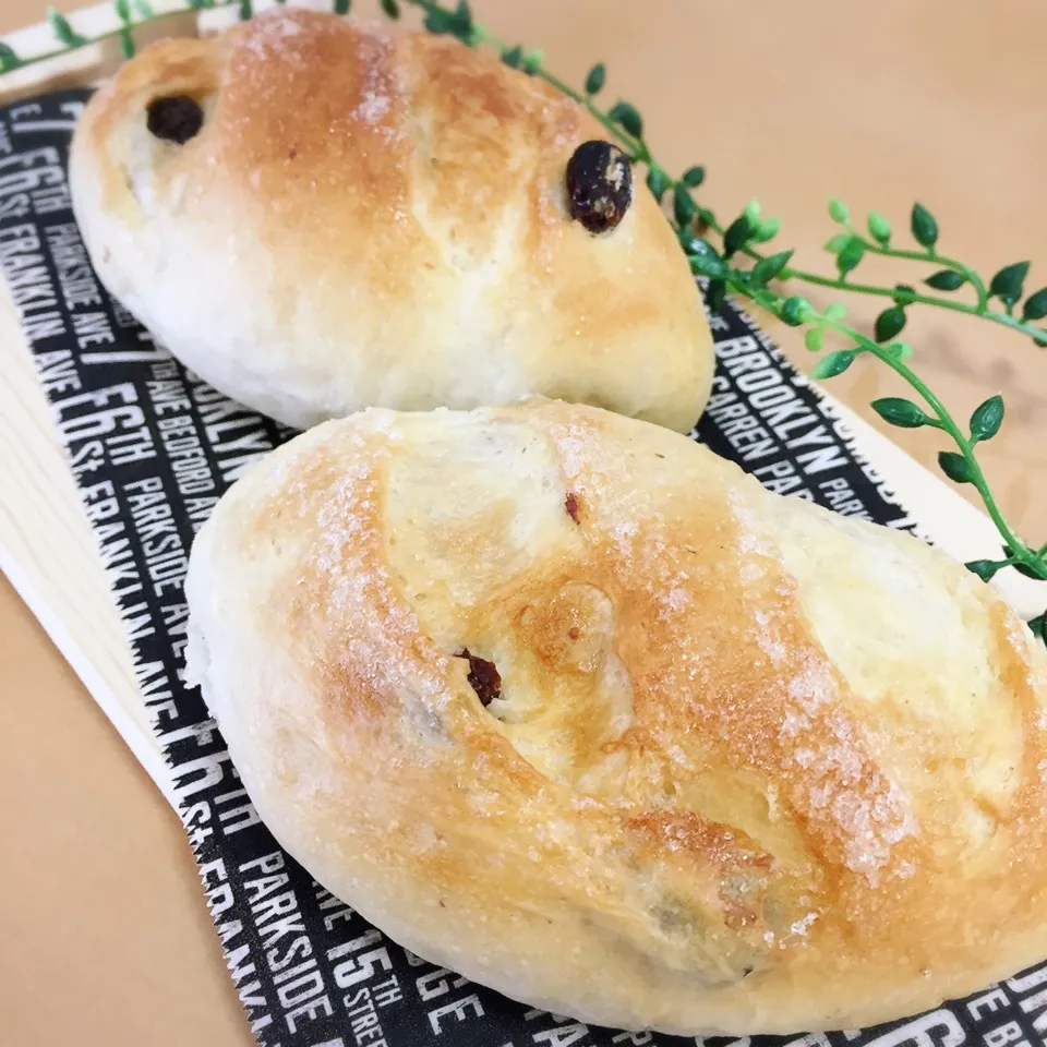 レーズンパン🥖|なめ子さん