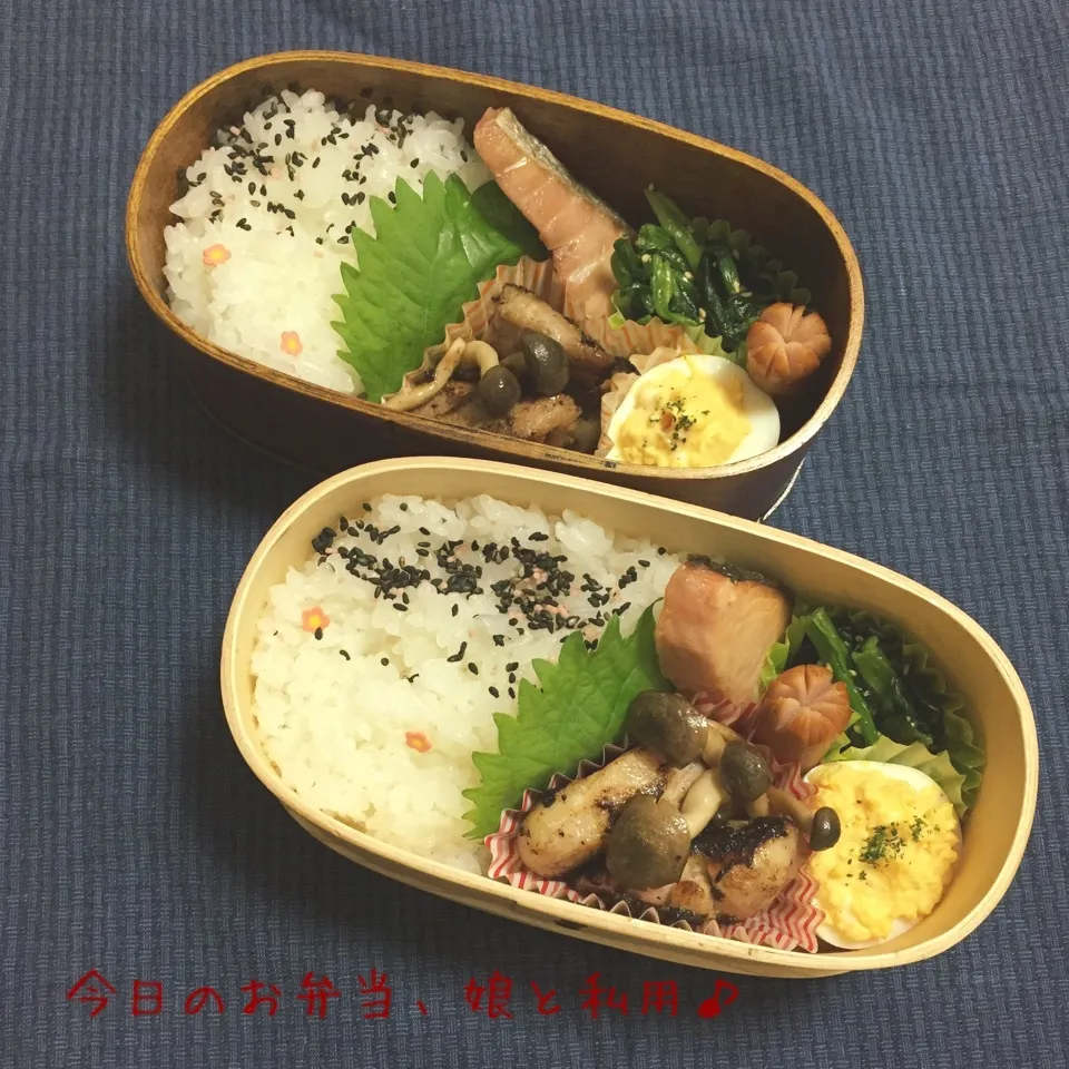 Snapdishの料理写真:今日のお弁当|なめ子さん