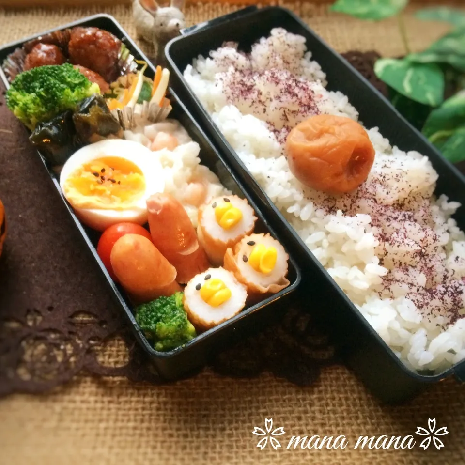 Snapdishの料理写真:朝やけきれいだね〜弁当〜|まなまな♡さん