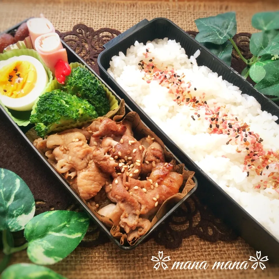 Snapdishの料理写真:詰んだ弁当〜|まなまな♡さん