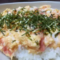 Snapdishの料理写真:奇跡の夜食🌠たらたま丼|メルさん