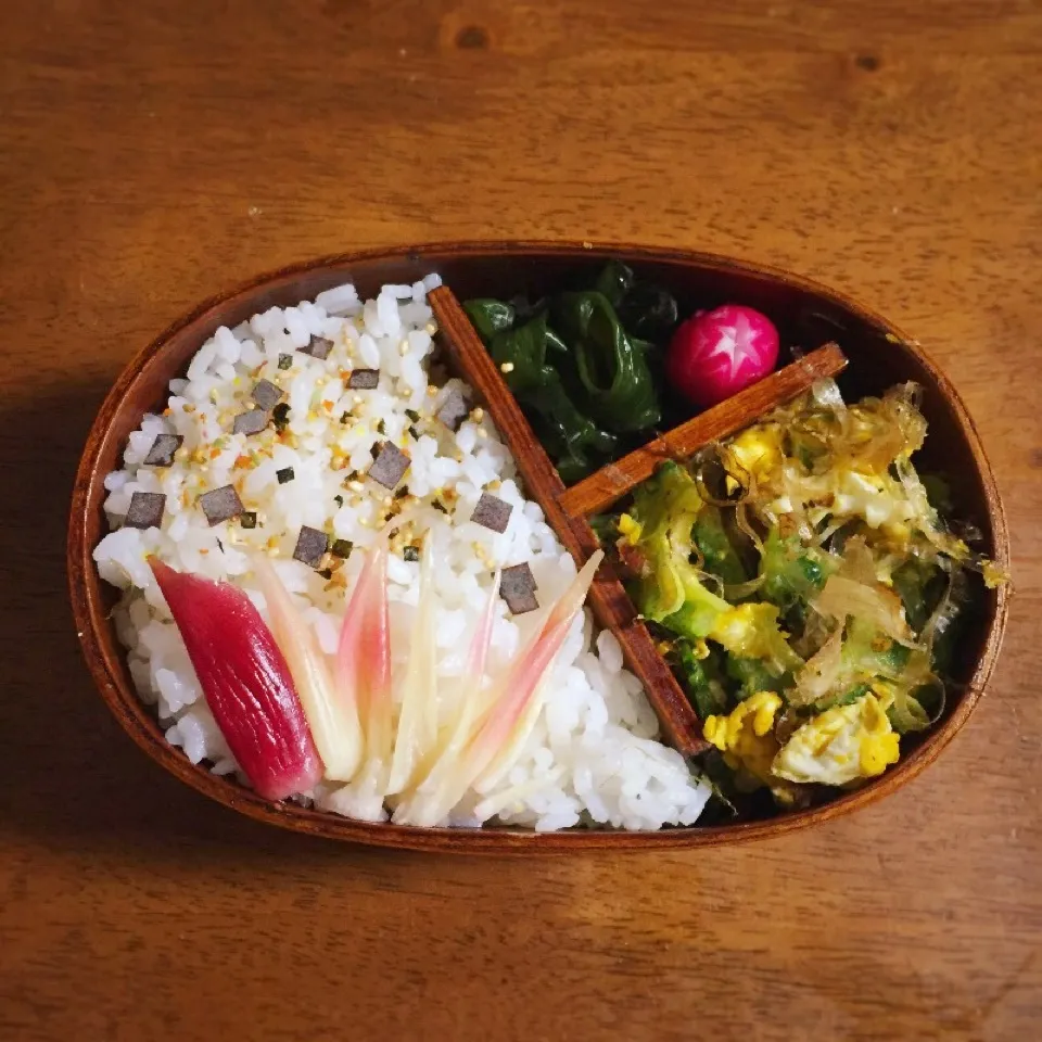 今日もゴーヤチャンプルー弁当|pippiさん