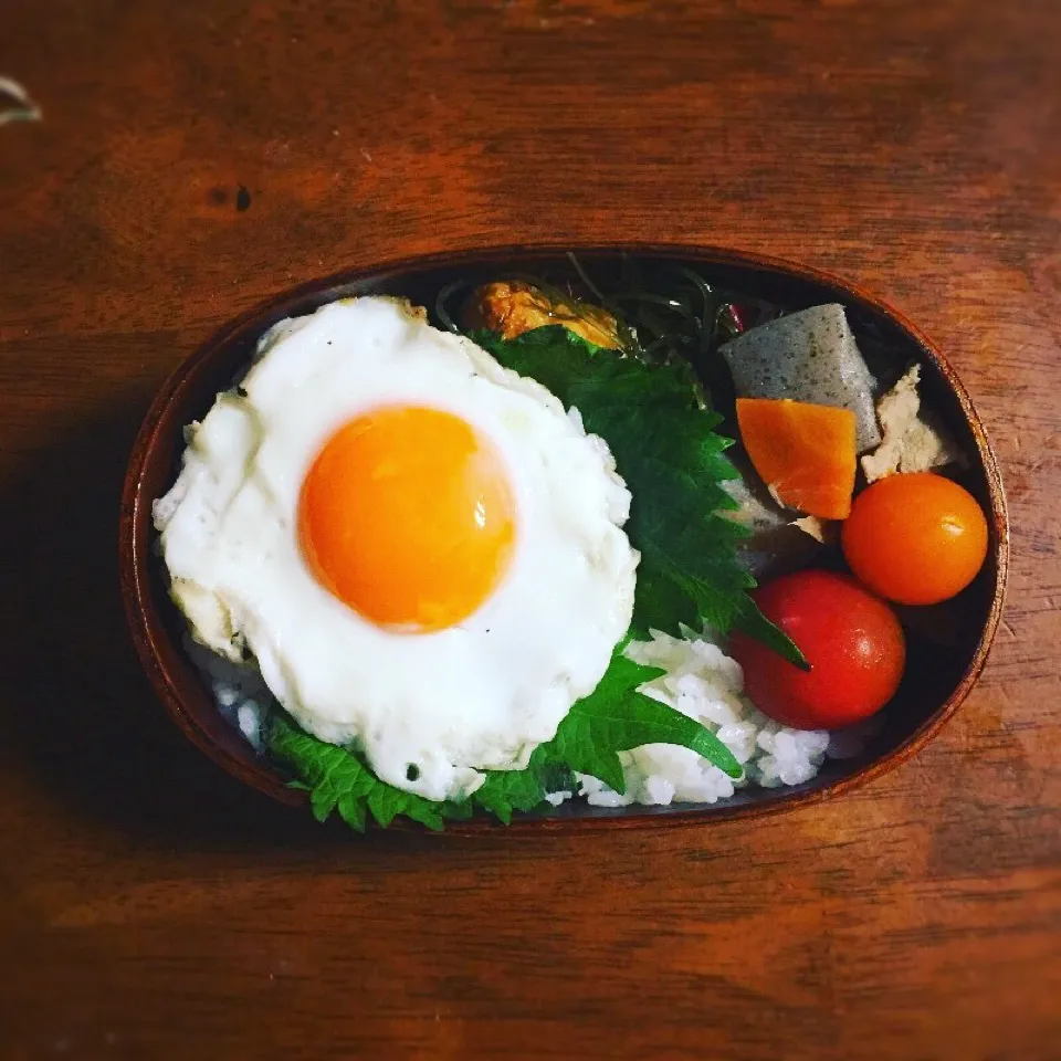 今日は目玉焼き弁当|pippiさん