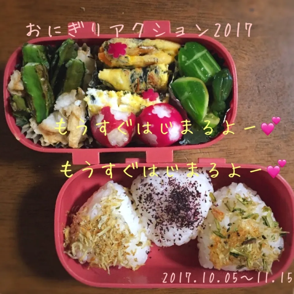 ♡おにぎりアクション2017のお知らせ♡今日のお弁当|pippiさん