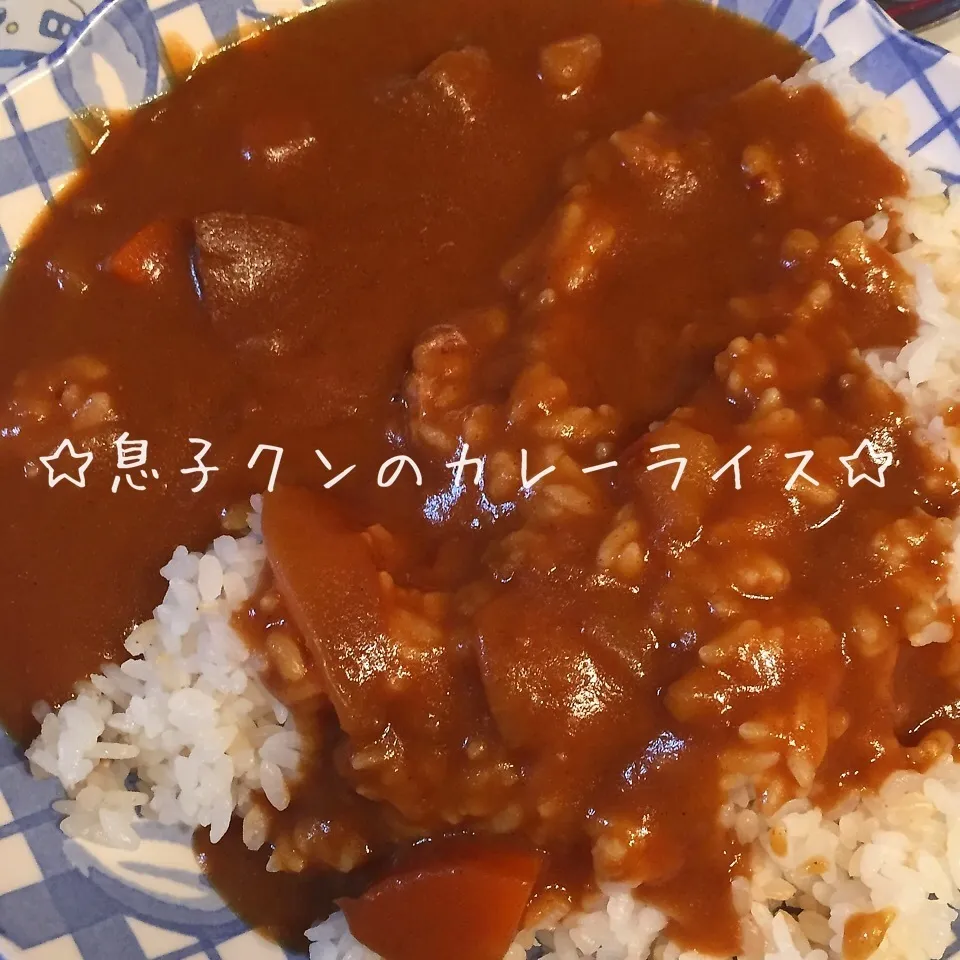 Snapdishの料理写真:2015年8月24日 ☆息子クンのカレーライス☆|kyoroさん