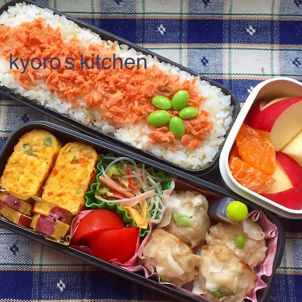 2015年6月15日 中学男子弁当|kyoroさん