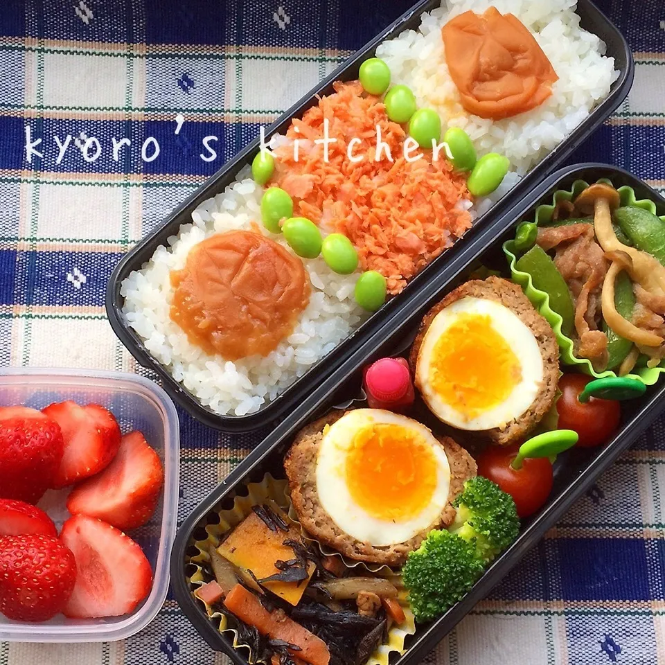 Snapdishの料理写真:2015年5月11日 中学息子弁当|kyoroさん