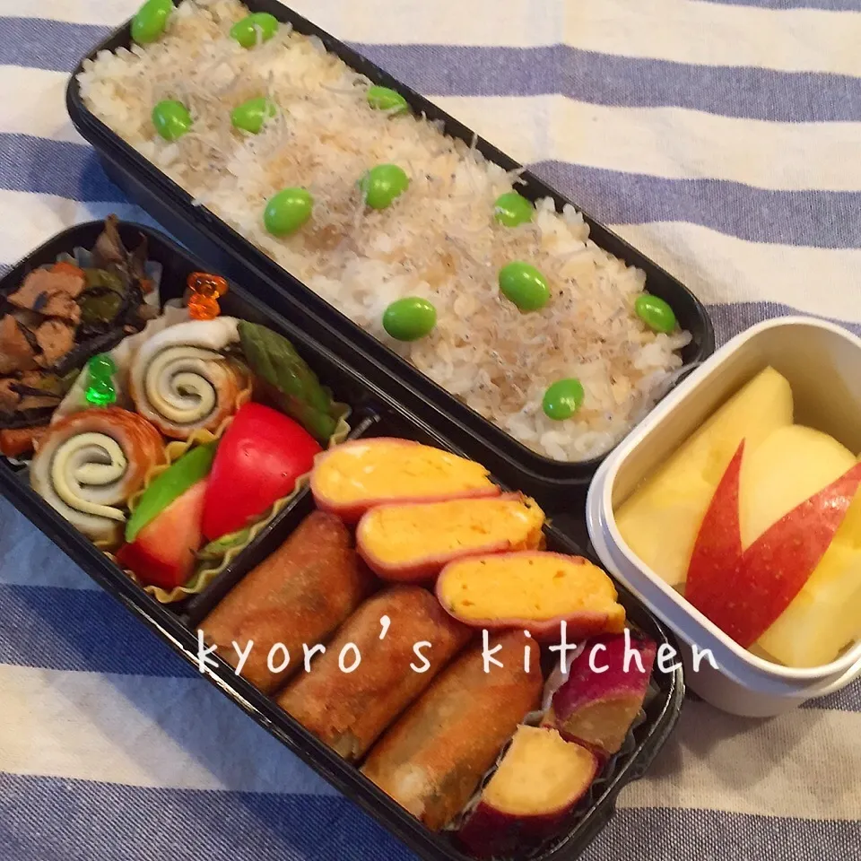 Snapdishの料理写真:2015年4月22日 中学男子弁当|kyoroさん