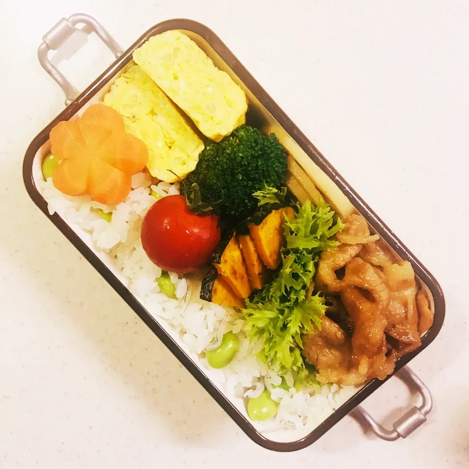 Snapdishの料理写真:高2娘 お弁当。記録。|Yukionさん