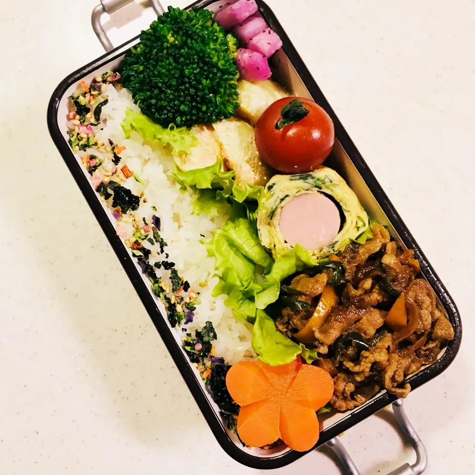 Snapdishの料理写真:高1娘 お弁当。記録。|Yukionさん