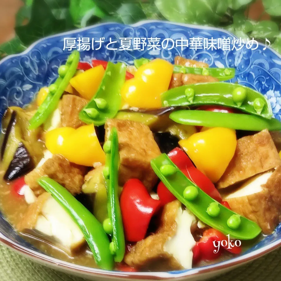 Snapdishの料理写真:厚揚げと夏野菜の中華味噌炒め🌟で、ペコリ無くなるってよ😱|容子さん