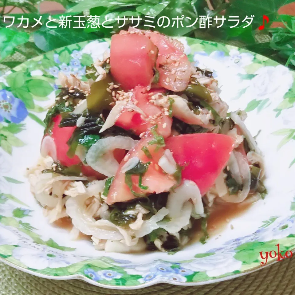 味見止まらず✨ワカメと新玉葱とササミのポン酢サラダ🎵|容子さん