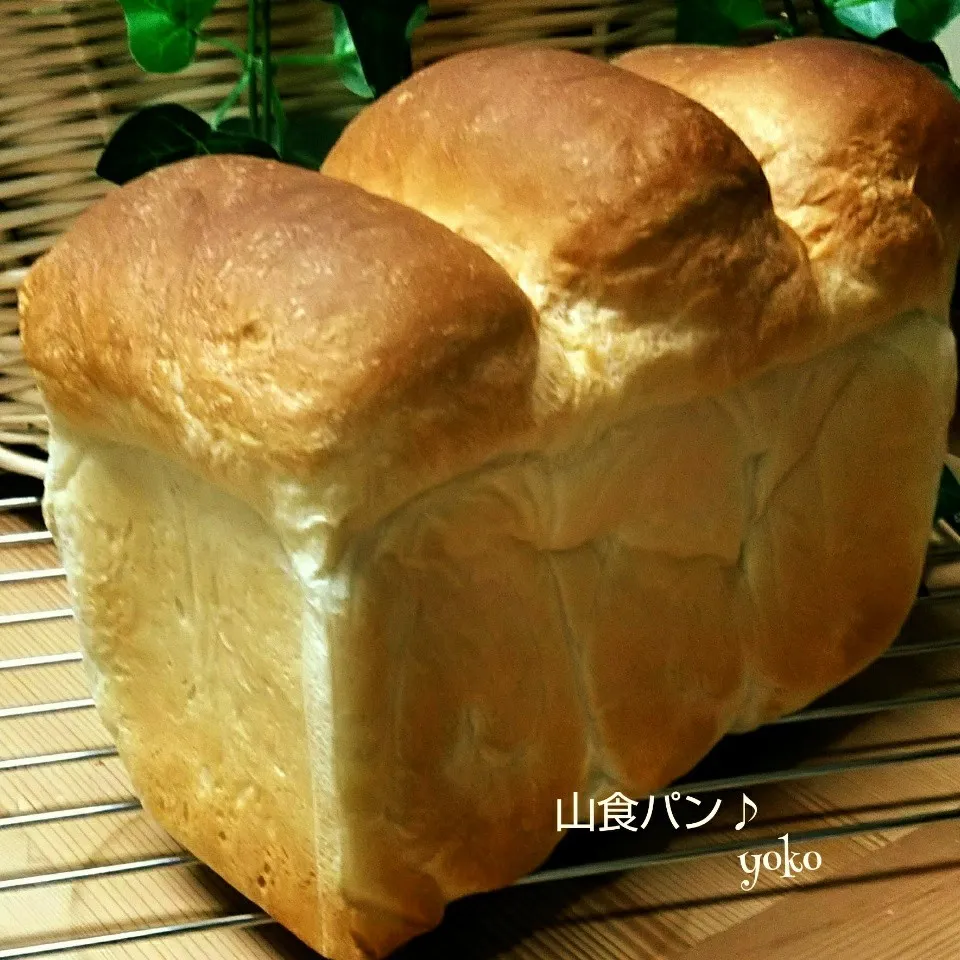 今日の山食パン🎵|容子さん