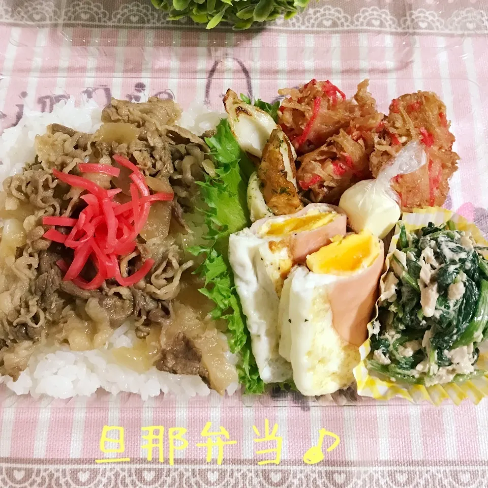 今日の旦那弁当♪遠足写真☆|あやちゃんママさん