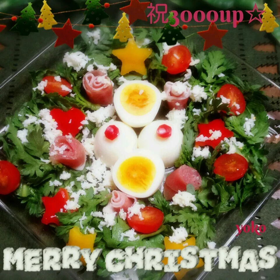 Snapdishの料理写真:祝3000up☆緑祭りでメリクリ☆|容子さん