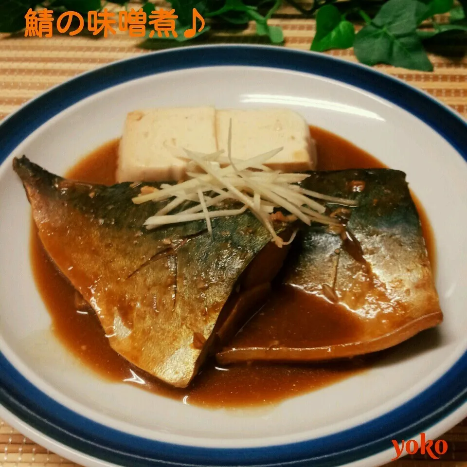 鯖の味噌煮♪と昨日の台風((((゜д゜;))))ギャー|容子さん