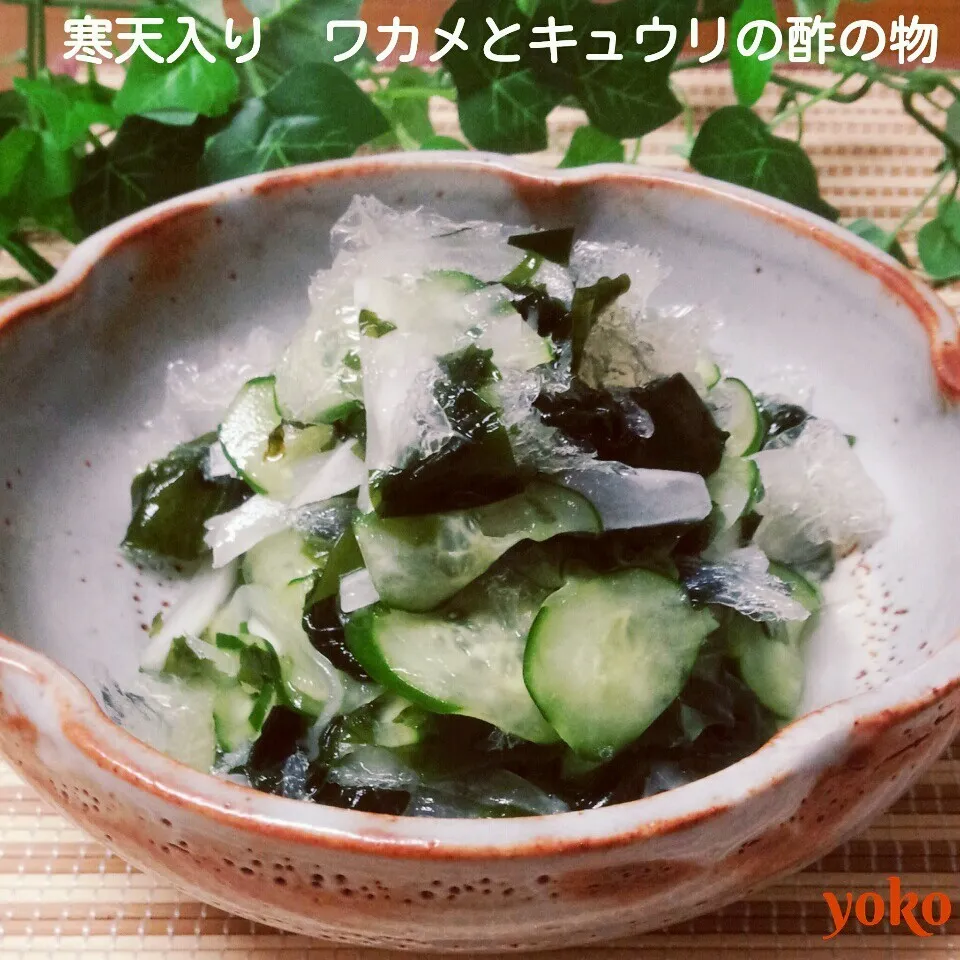 寒天入り☆ワカメとキュウリの酢の物♪|容子さん