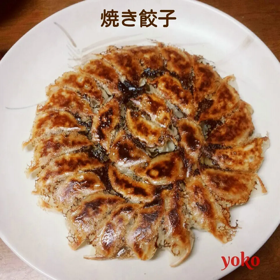 我が家の焼き餃子♪|容子さん