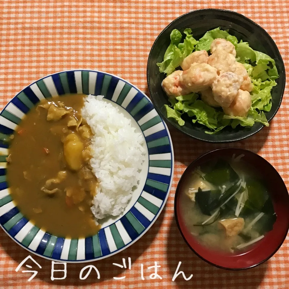 Snapdishの料理写真:晩ごはん|あやちゃんママさん