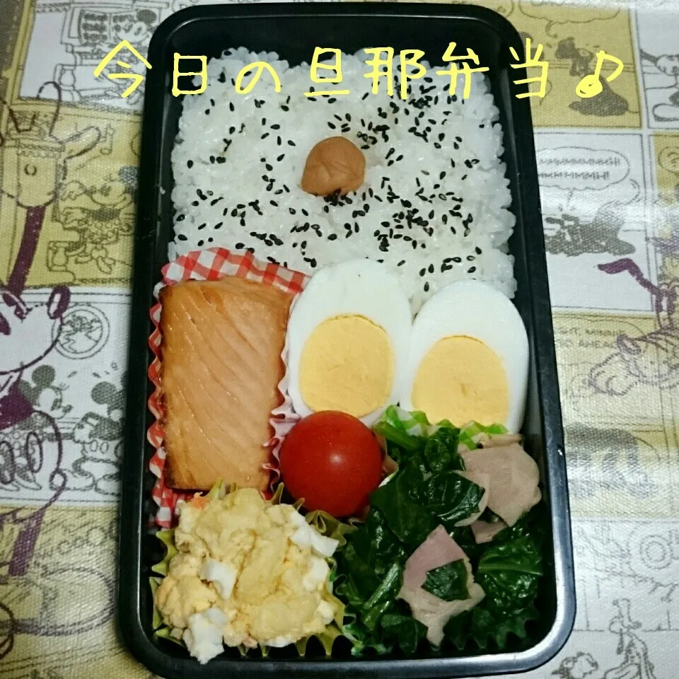 Snapdishの料理写真:今日の旦那弁当♪|あやちゃんママさん