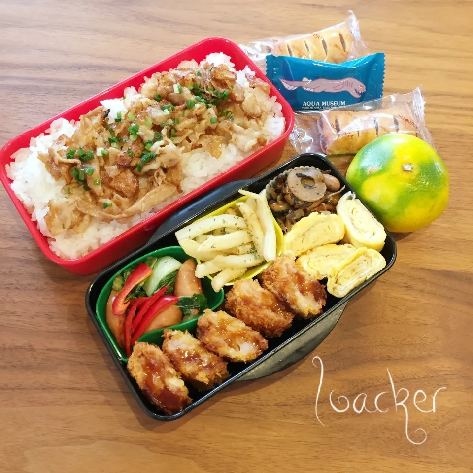 Snapdishの料理写真:2016.10.23 息子の模試弁当|Loackerさん