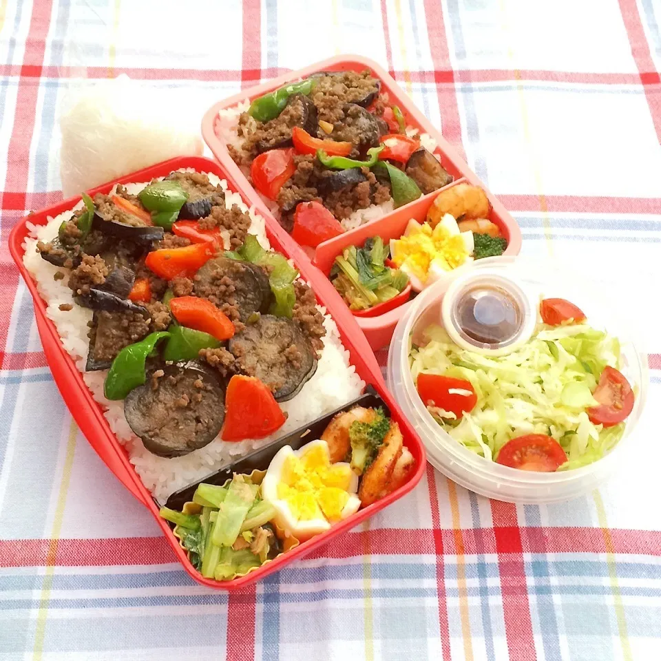 Snapdishの料理写真:2015.11.13  なすとひき肉の甘辛丼弁当|Loackerさん