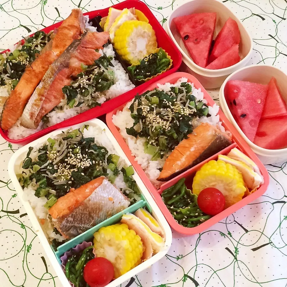 Snapdishの料理写真:2015.6.18 鮭弁当|Loackerさん