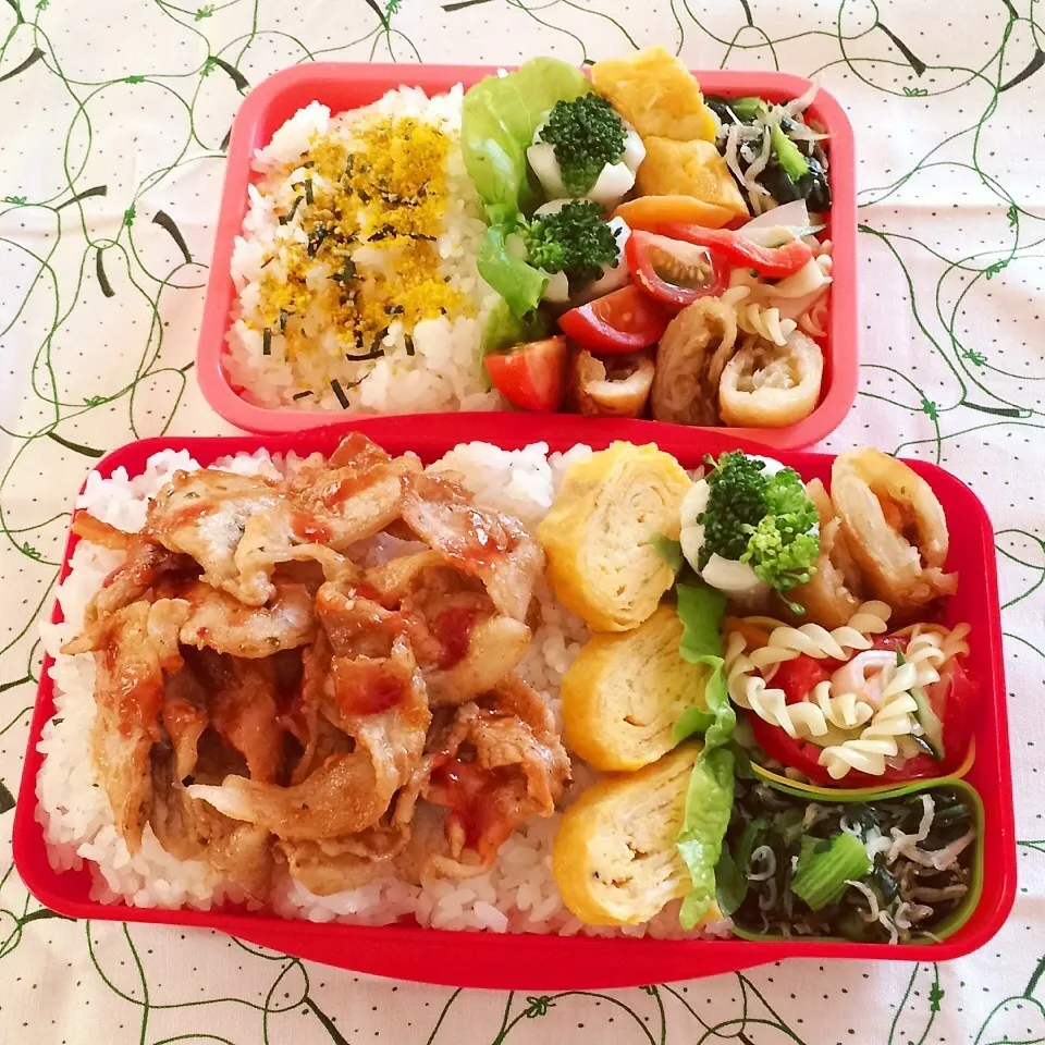 Snapdishの料理写真:2015.5.28 ミニ春巻き弁当|Loackerさん