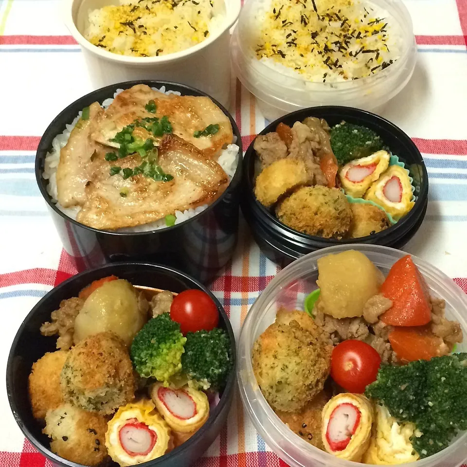 Snapdishの料理写真:2015.3.3 肉じゃが弁当 〜普段通りでごめんよ|Loackerさん