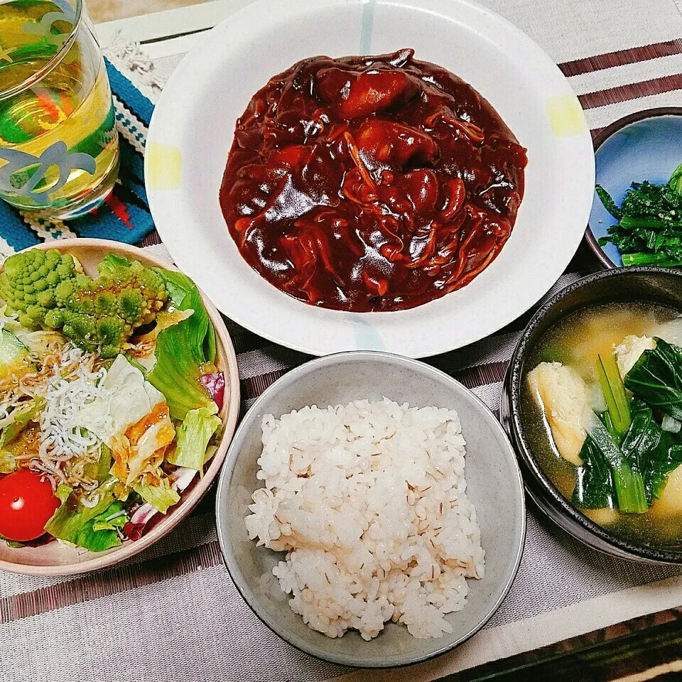 晩ご飯✨ビーフシチュー🍚🍴|Laniさん