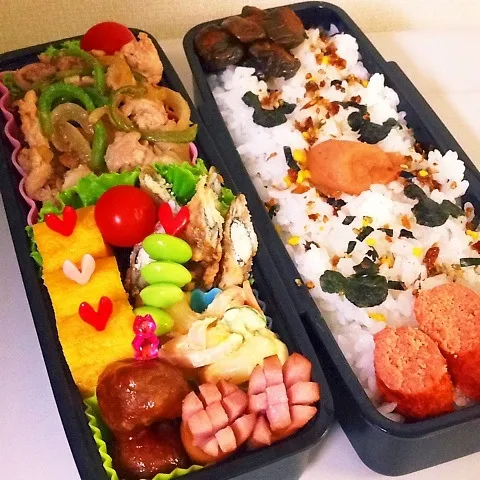 Snapdishの料理写真:旦那弁|ちぇーさん