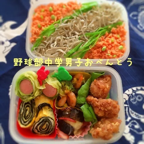 Snapdishの料理写真:ぐるぐる卵焼き弁当  2014.5.22|Loackerさん