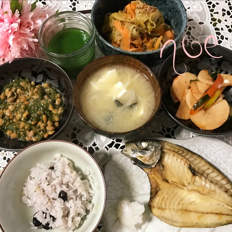 身体が喜ぶ晩御飯💗ゲルソン療法でぴっぴちゃん祝500💗|noeさん