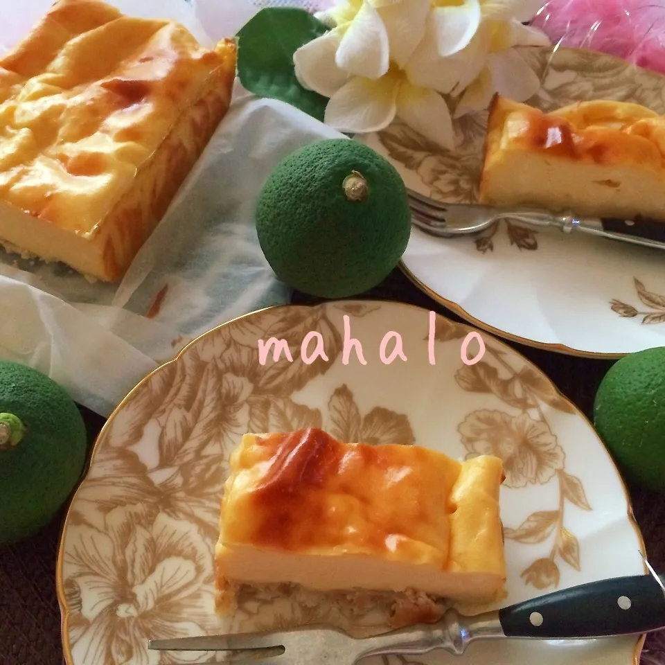 Snapdishの料理写真:遠山さんのカボスチ–ズケ–キ♡|noeさん