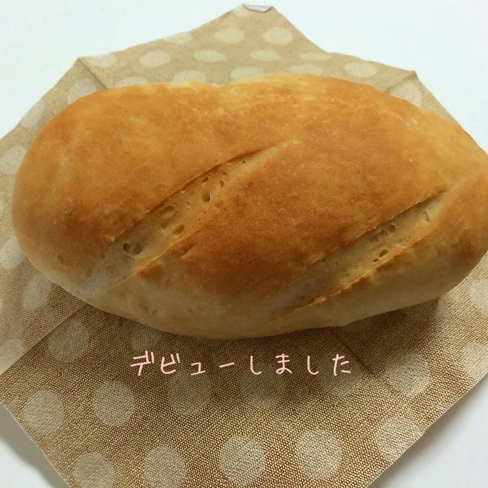 初の全粒粉のクッペ(苦っぺ)(^^;;|noeさん