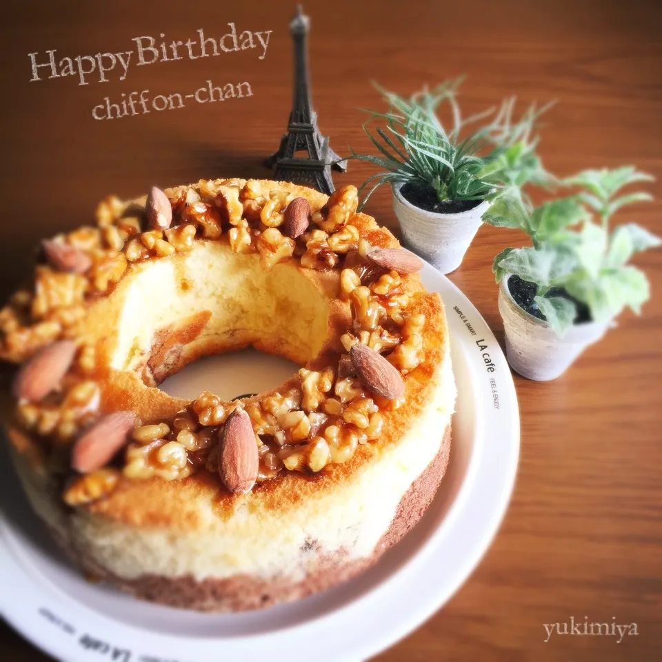 ごろごろナッツシフォンケーキで♪しふぉちゃん誕生日おめでとう|yukimiya7262さん