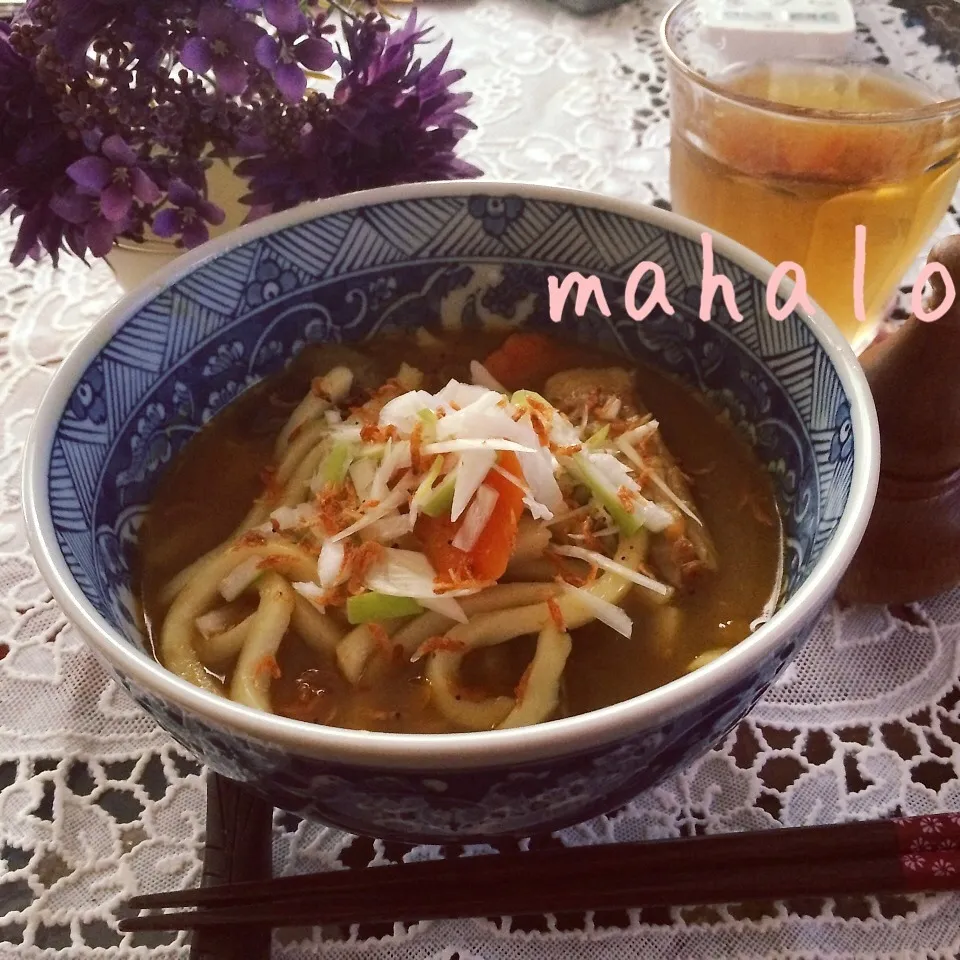 あかりんのカレーうどん♡|noeさん