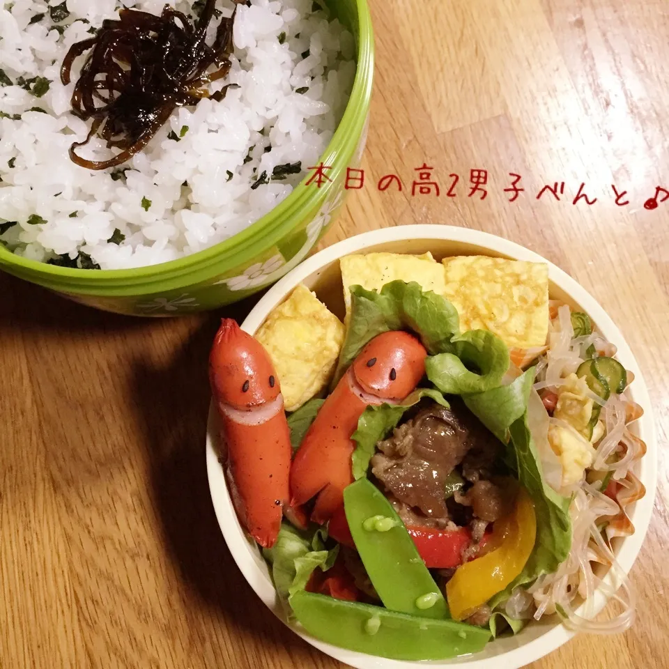 Snapdishの料理写真:高2男子弁当〜からちゃんのソース照り焼きまねっこで♡|yukimiya7262さん