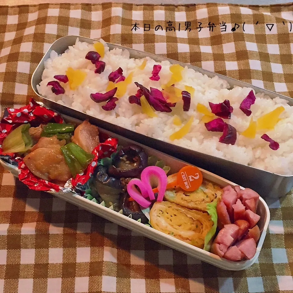 Snapdishの料理写真:YUU＊さん真似っこ茄子の生姜焼きと鶏モモの照り焼き弁当♪|yukimiya7262さん