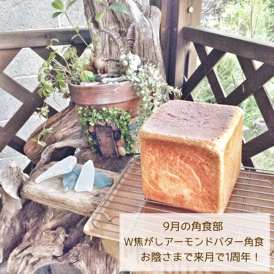 ⌘9月の角食部【W焦がしアーモンドバター角食】|✼Bǝё-n✼さん