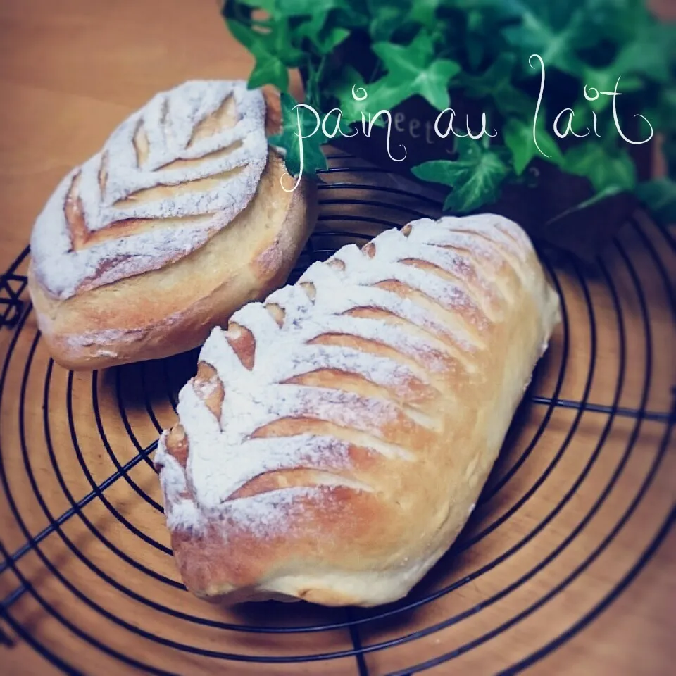 たえちさんのミルキーな pain au lait♡♡|Jurinさん