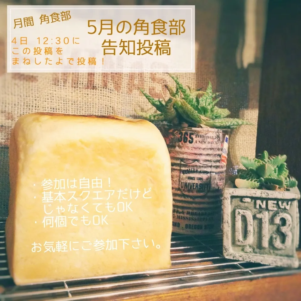 ⌘5月の角食部告知投稿！|✼Bǝё-n✼さん