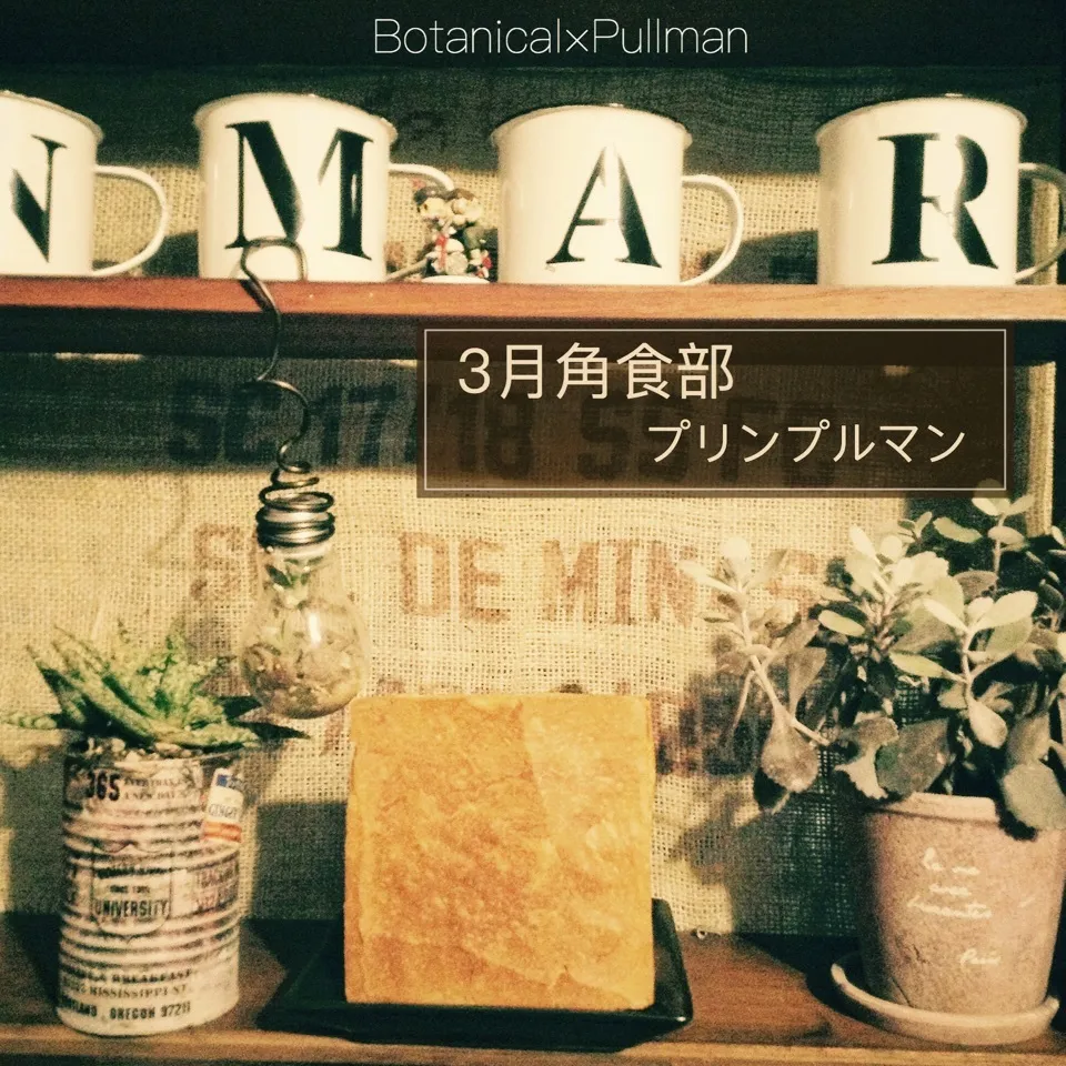 ⌘月間角食部 3月号 プリンプルマン！|✼Bǝё-n✼さん