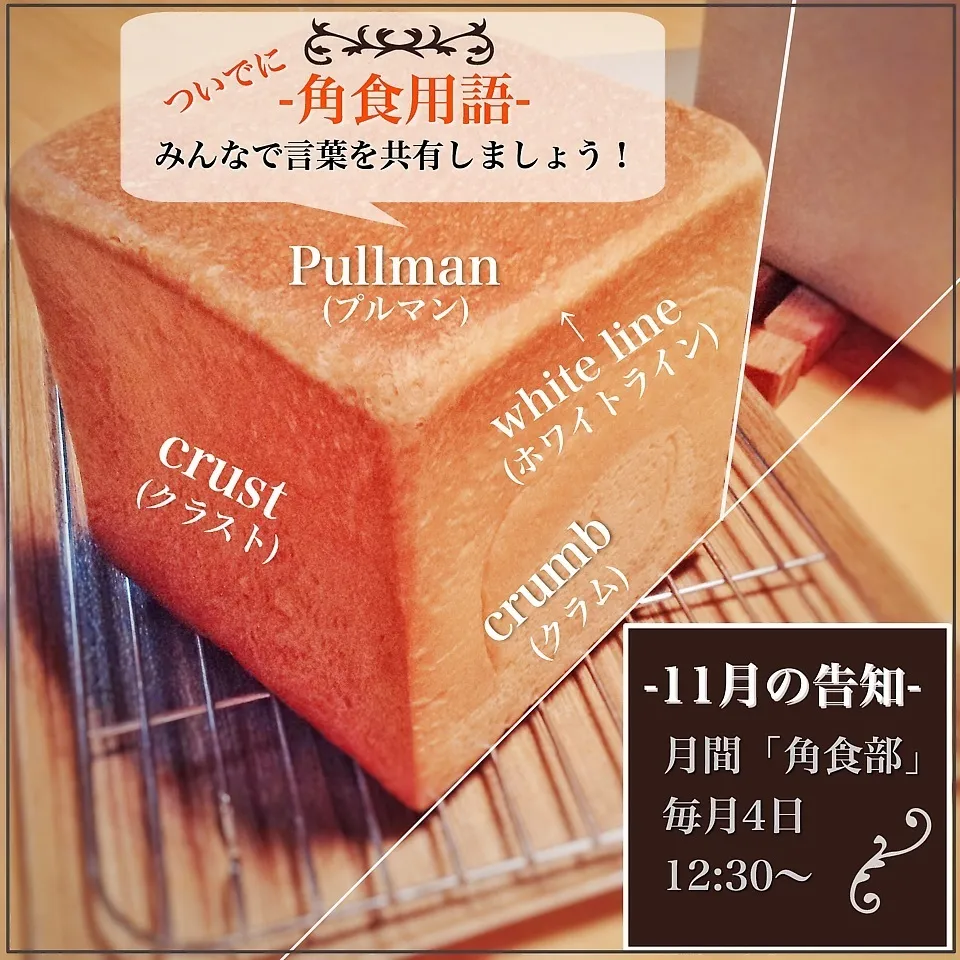 Snapdishの料理写真:月間「角食部」11月の告知「ついでにパン用語付き」|✼Bǝё-n✼さん