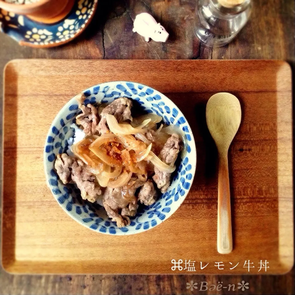 Snapdishの料理写真:⌘夏休みの子供達のための速攻牛丼！|✼Bǝё-n✼さん