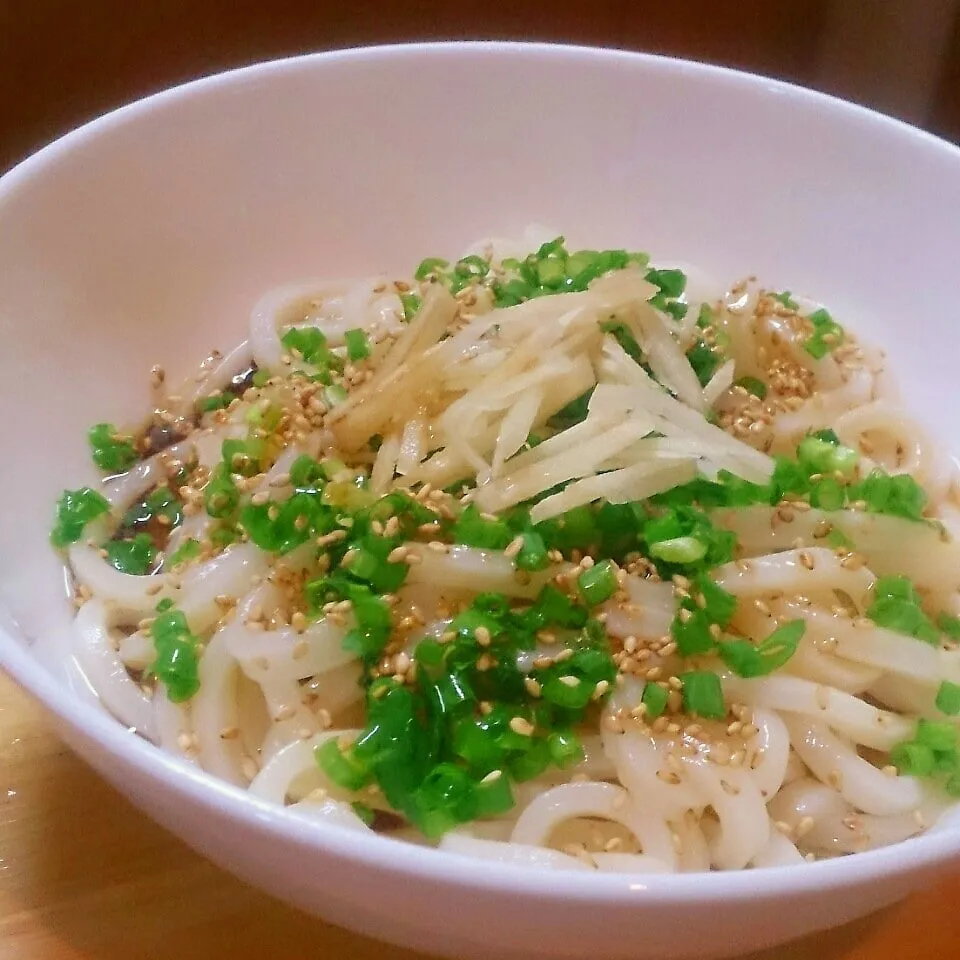 地味ウマ♡冷しうどん＊氷のお皿付きdeワンボール♪|mi_neneco♪さん