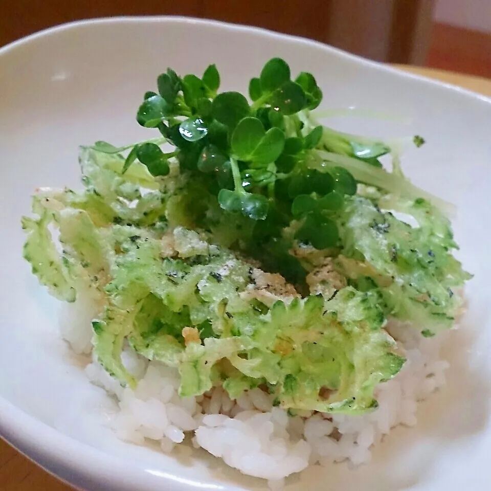 半生ゴーヤとアミ海老のかき揚げ丼|mi_neneco♪さん